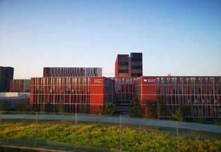 河北做中日集运怎么联系